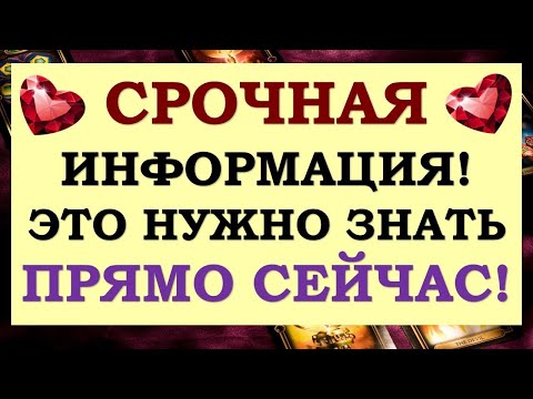 Видео: ⚡ ЭТО ТО, ЧТО ВАМ НУЖНО ЗНАТЬ ПРЯМО СЕЙЧАС! 🙏 СОВЕТ ОТ ВЫСШИХ СИЛ. 🙌 Tarot Diamond Dream Таро