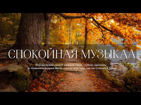 Видео: Самая красивая мелодия на свете! 🌿Осенние золотистые луга, красивая расслабляющая музыка🌿
