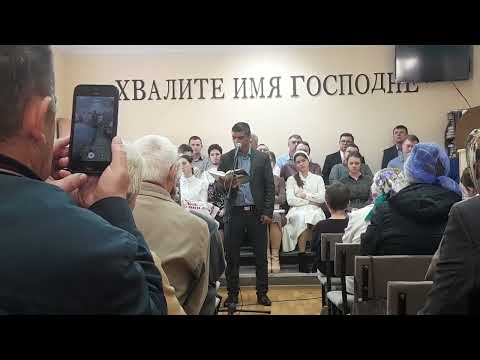 Видео: богар