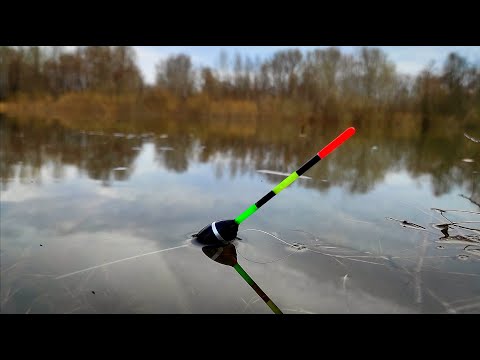 Видео: ЗАКИНУЛ В ЛЕСНОЙ ПРИТОК И ПОВЕЛО ПОПЛАВОК! Это лещ или карась?! Рыбалка 2025.