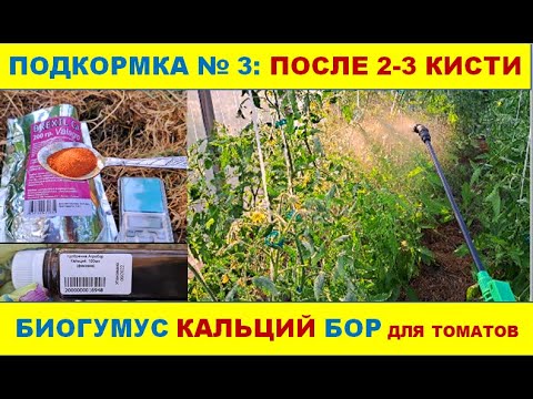 Видео: После 2-3 кисти: Кальций Бор Биогумус. Подкормка томатов №3