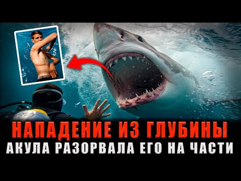 Видео: НАПАДЕНИЕ ИЗ ГЛУБИНЫ: Акула разорвала его на части, но ОН ВЫЖИЛ