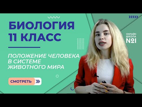 Видео: Положение человека в системе животного мира. Видеоурок 13. Биология 11 класс