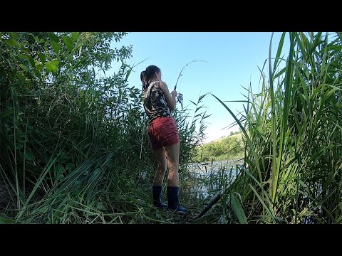 Видео: Рыбалка с ночевкой. Жарёха, уха на природе