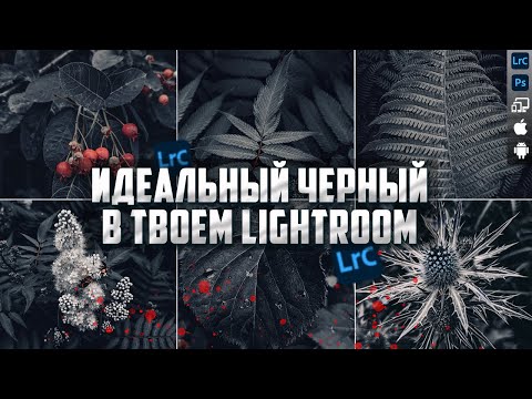 Видео: Идеальный черный / Обработка в Lightroom / RAW для урока