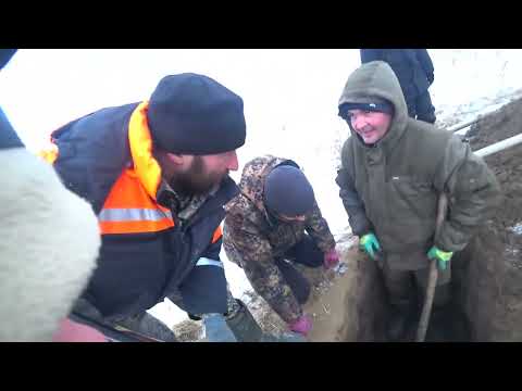 Видео: Охота на барсука с норными собаками профи таксы Герда и Майло 2024