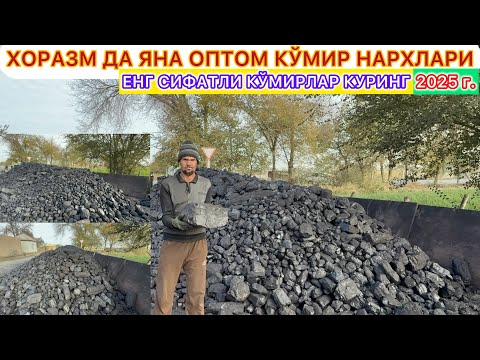 Видео: 97.211.16.67☎️ХОРАЗМ ДА ЯНА ОПТОМ КЎМИР НАРХЛАРИ ЕНГ СИФАТЛИ КЎМИРЛАР КУРИНГ 25-октябрь 2025 г.