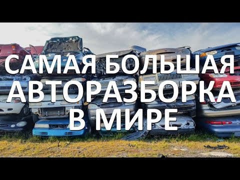 Видео: Самая большая авторазборка в мире