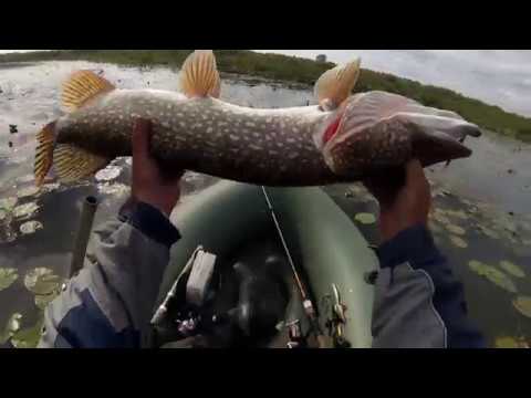 Видео: Tiny MAGALLON-уникальный воблер отJackall