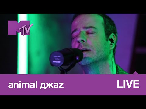 Видео: Animal Джаz – Три полоски // MTV LIVE MUSIC