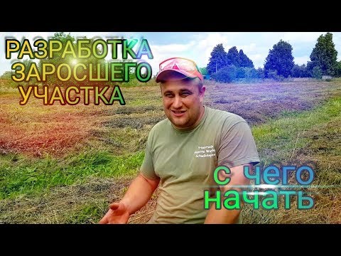 Видео: Разработка нового-заросшего участка и с чего начинать