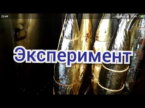 Видео: Скумбрия горячего копчения. В термокамере (коптильном шкафу) Golden Smoker от ПМЗ