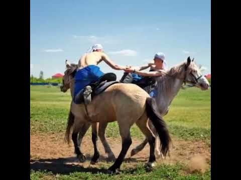 Видео: Ұлттық спорт күні құтты болсын!
