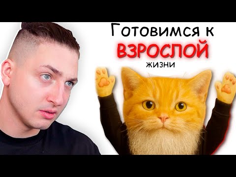 Видео: МУДРЫЙ КОТ НАУЧИЛ МЕНЯ ЖИЗНИ... (я сел)