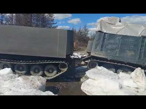 Видео: Витязь