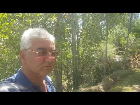 Видео: игра на дутаре  в кишлаке Ёл 2019