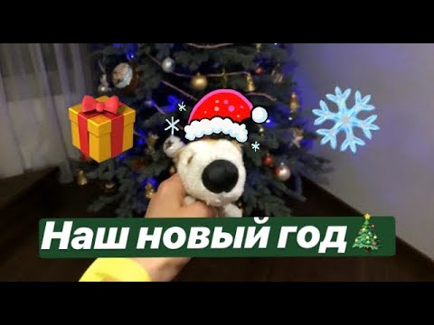 Видео: Как мы отметили НОВЫЙ ГОД 2019