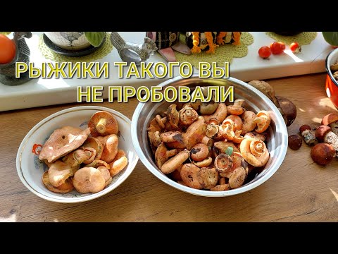 Видео:  РЫЖИКИ,СБОР И ПРИГОТОВЛЕНИЕ ИЗ НИХ ОБАЛДЕННОГО БЛЮДА