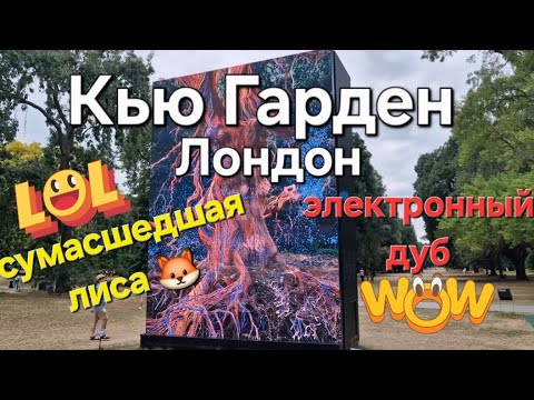 Видео: 🚂🦊"ШОК! Лиса среди бела дня в Кью Гарднс + мистическая инсталляция дуба"🏙️🔥