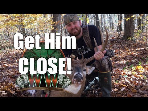 Видео: Советы по мановению оленей | Как заманить оленя на расстояние выстрела из лука