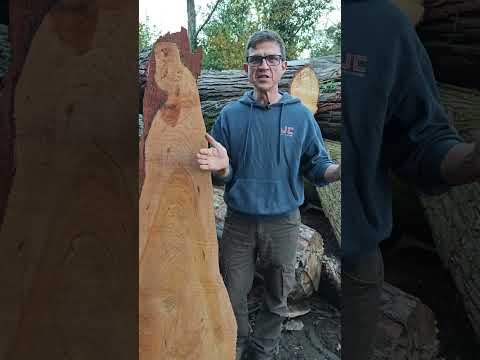 Видео: Гималайский кедр: природная роскошь для вашего дома, бани, столешницы.