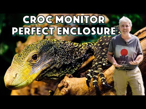 Видео: Строительство зоопарка. До открытия остался месяц.