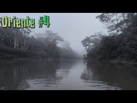 Видео: Ориенте (Амазонка) #4 - Прощание с лесом и Дорога домой