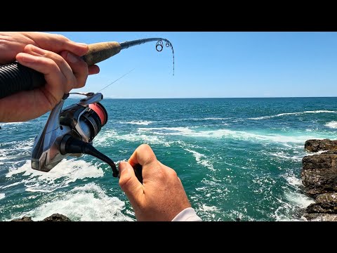 Видео: Рыбалка на скалах в Форстере, Новый Южный Уэльс — столько видов наживки!