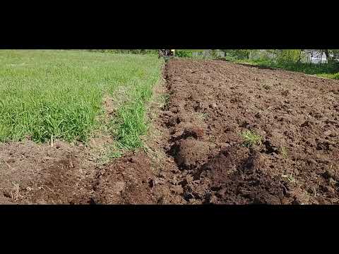 Видео: Т 25 пахота 2021!