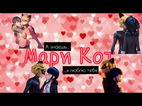 Видео: МариКот #3 | Переписки Леди Баг и Супер Кот | Nour Bug ♥️