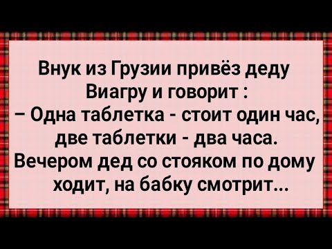 Видео: Как Внук из Грузии Деду Виагру Привез! Сборник Свежих Анекдотов! Юмор!