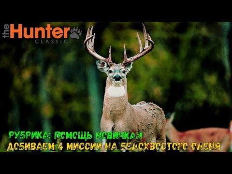 Видео: theHunter Classic/Рубрика: помощь новичкам/Добиваем 4 миссии на белохвостого оленя
