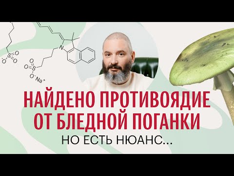 Видео: Найдено новое противоядие от отравления бледной поганкой. Михаил Вишневский