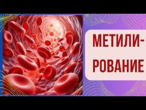Видео: Метилирование как ключ к здоровью.