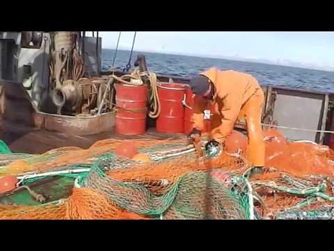 Видео: Рыбалка в Охотском море