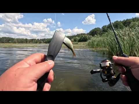 Видео: Красноперка и плотва.Мормышинг