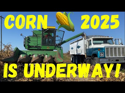 Видео: По ферме с JT! Отличное начало для CORN!