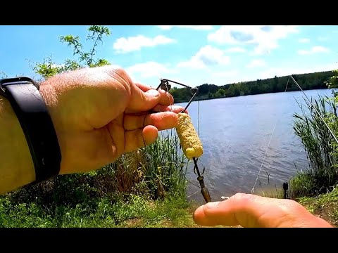 Видео: Ловля толстолобика в Мае