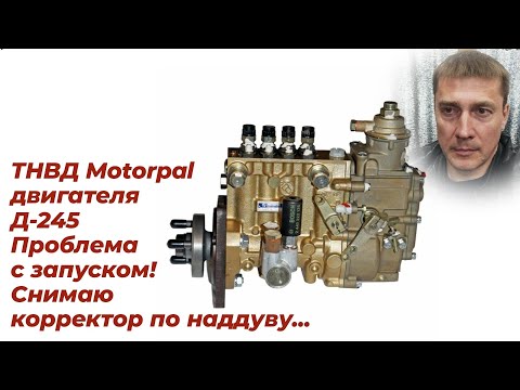 Видео: Ремонт,тнвд моторпал. Моторпал, корректор по наддуву. Насос моторпал.Мтз моторпал.Смотри на РУТУБЕ!
