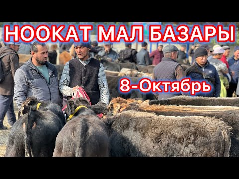 Видео: НООКАТ МАЛ БАЗАРЫ !!!  8-Октябрь Арал мал базары 