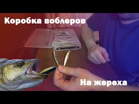 Видео: На что ловить жереха на спиннинг? Обзор моей коробки. Что ловит, а что еще никак себя не проявило.