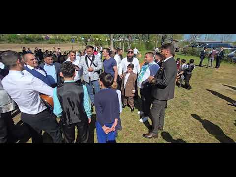 Видео: Богар мсц ехб песня даром 🌴🍃🐦🌪🌬🙏