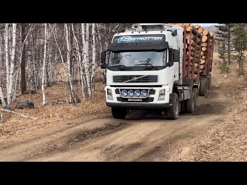 Видео: Volvo лесовоз.Молодые операторы(помогаторы)