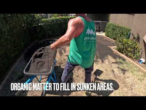 Видео: РЕМОНТ ГАЗОНА В БУФФАЛО. Профессиональный подрядчик.