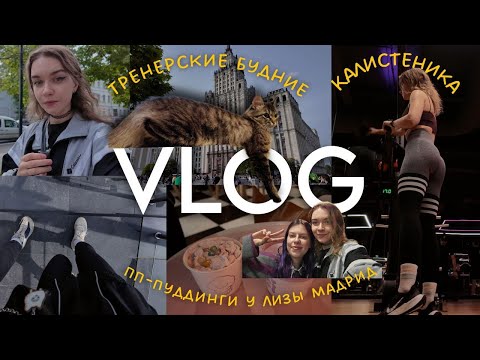 Видео: VLOG: тренировка, работа в зале, веганские пуддинги Mussi от Лизы Мадрид | ДНЕВНИК ФИТНЕС-ТРЕНЕРА