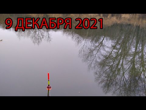Видео: Рыбалка на поплавок в декабре на реке.