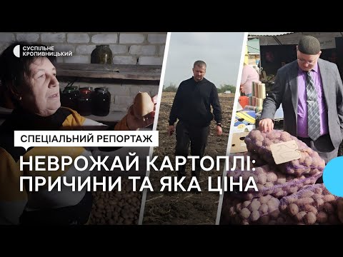 Видео: На Кіровоградщині подорожчала картопля. Що вплинуло на підвищення цін