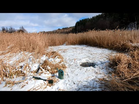 Видео: Расчистка речки для лодки. Сделал второе озеро