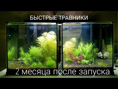 Видео: Осмос-Водопровод через два месяца после запуска