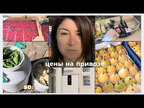 Видео: Делаем большую заготовку солений🍅 Мне прислали не те саженцы🥴Как решили проблему с электричеством?!